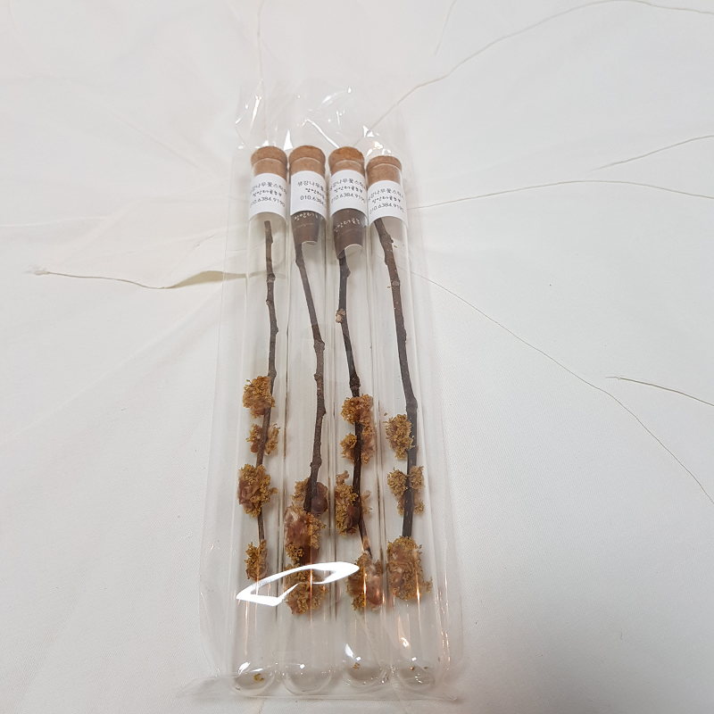 꽃다숨,[라이브특가]캐모마일블랜딩&스틱꽃차세트